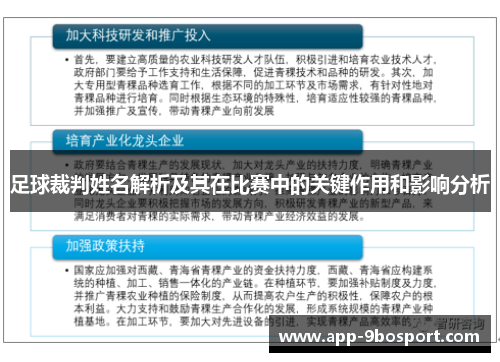 足球裁判姓名解析及其在比赛中的关键作用和影响分析